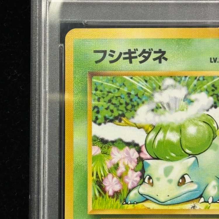 【PSA10】フシギダネ マークあり 旧裏 ★ 1枚