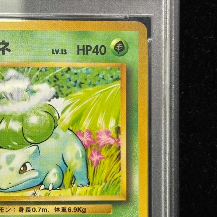 【PSA10】フシギダネ マークあり 旧裏 ★ 1枚