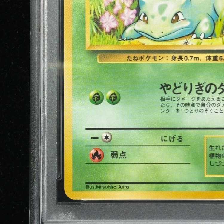 【PSA10】フシギダネ マークあり 旧裏 ★ 1枚