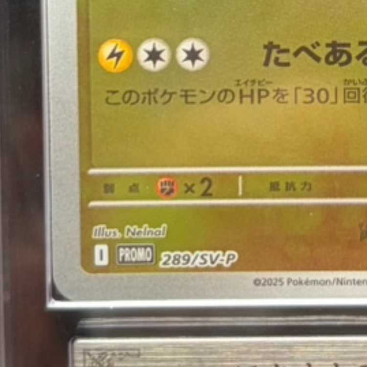 【ARS10】 フクオカのピカチュウ (プロモ) {289/SV-P} [SV] 1枚
