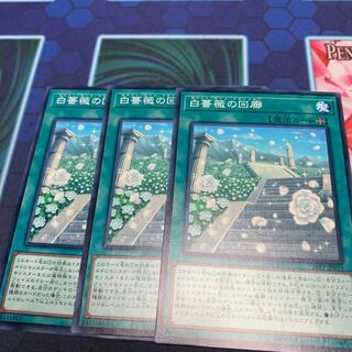 白薔薇の回廊 N 専用