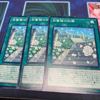 白薔薇の回廊 N