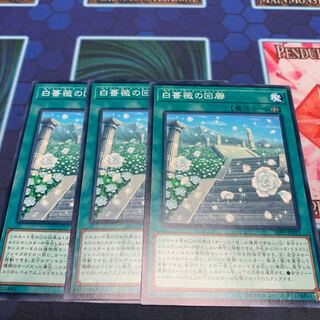 白薔薇の回廊 N