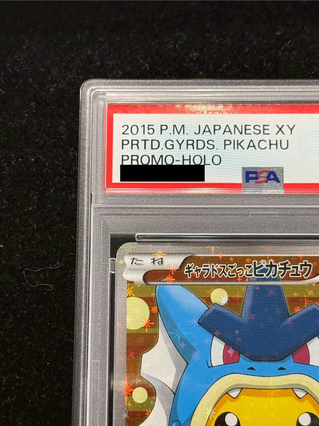 〔※状態難/PSA10鑑定済〕ギャラドスごっこピカチュウ【P】{151/XY-P} 1枚
