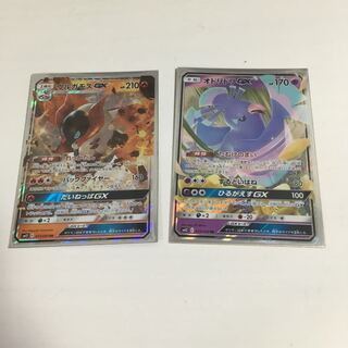 専用  ウルガモス のみ