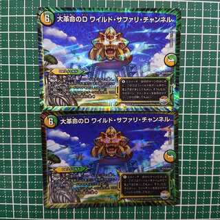 大革命のD ワイルド・サファリ・チャンネル 2枚