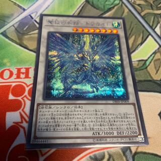 魔救の奇跡-ドラガイト SE