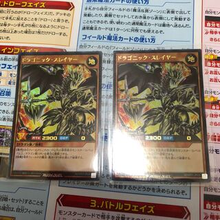 ドラゴニック・スレイヤー　2枚