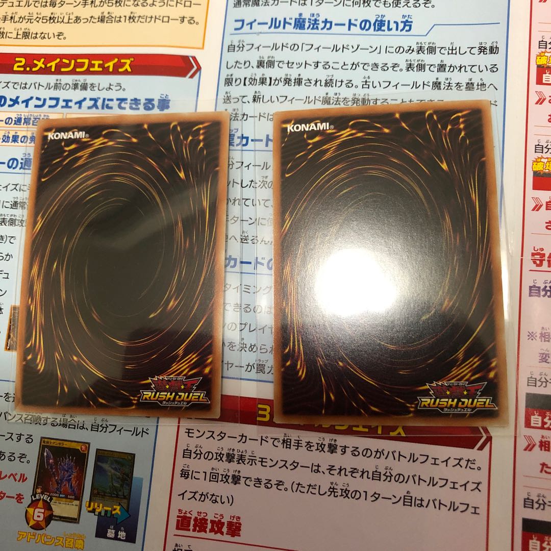 ドラゴニック・スレイヤー 2枚