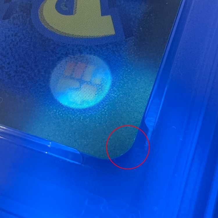 PSA10 ゼラオラVSTAR SAR S12a 220/172 ポケモンカードゲーム ポケカ 1枚