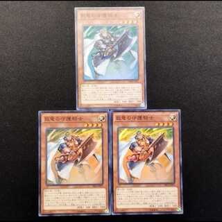 中古品 遊戯王 巨竜の守護騎士 スーパーレア 3枚