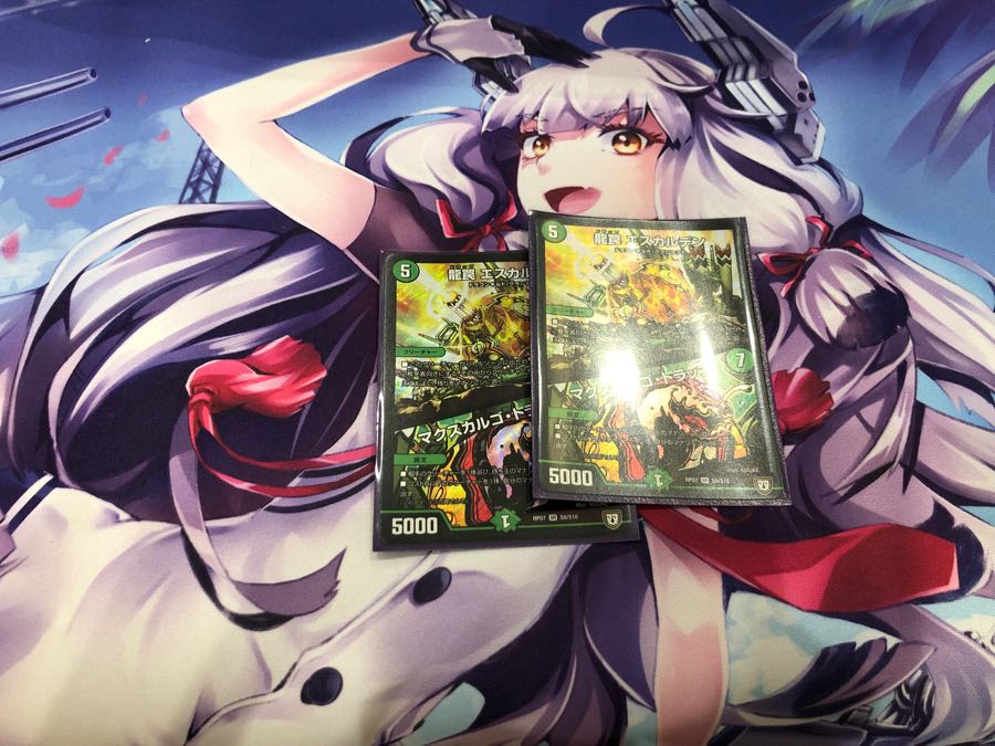 エスカルデン 1枚