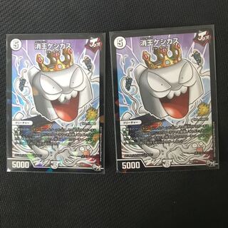 消王ケシカス 二枚