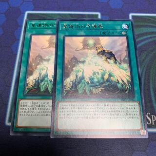 星遺物の守護竜 R