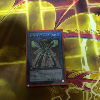 Topologic Trisbaena SE