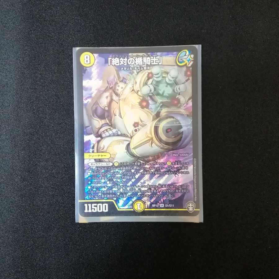 「絶対の楯騎士」