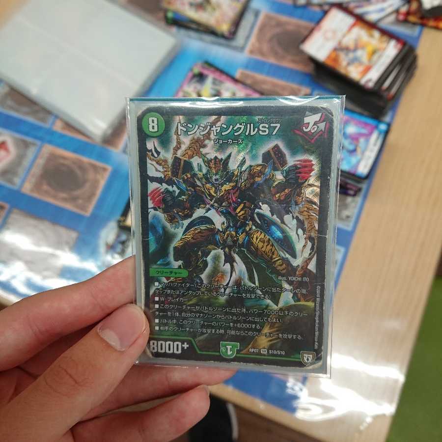 ドンジャングル ※訳あり 1枚