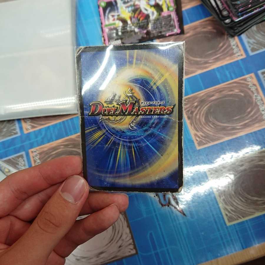 ドンジャングル ※訳あり 1枚