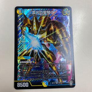 「雷光の聖騎士」