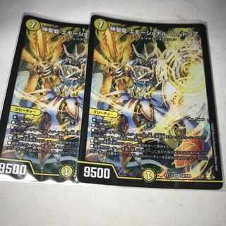 神聖龍 エモーショナル・ハードコア　2枚