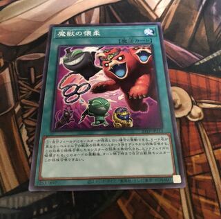 魔獣の懐柔　3枚