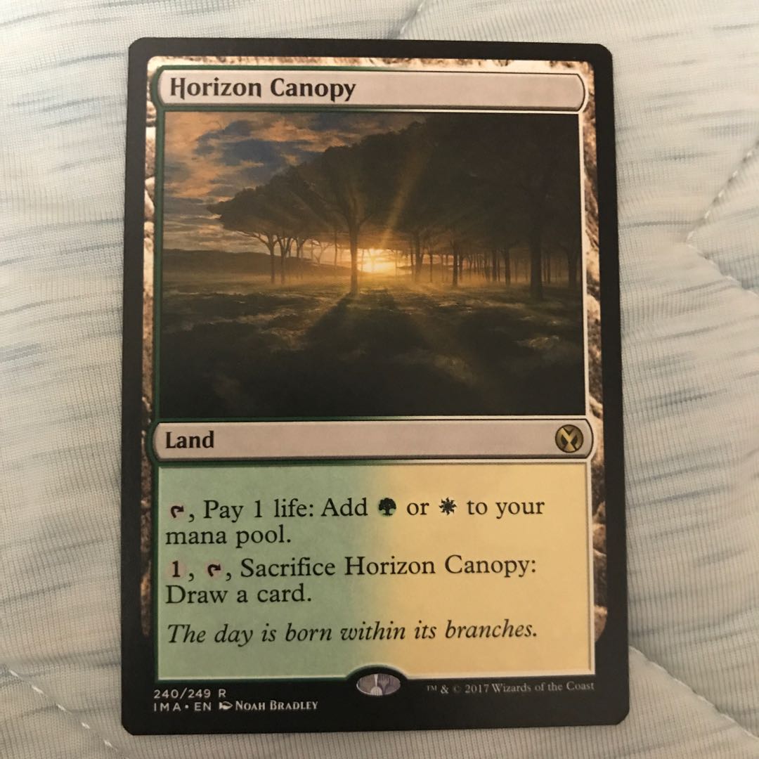 地平線の梢　英語