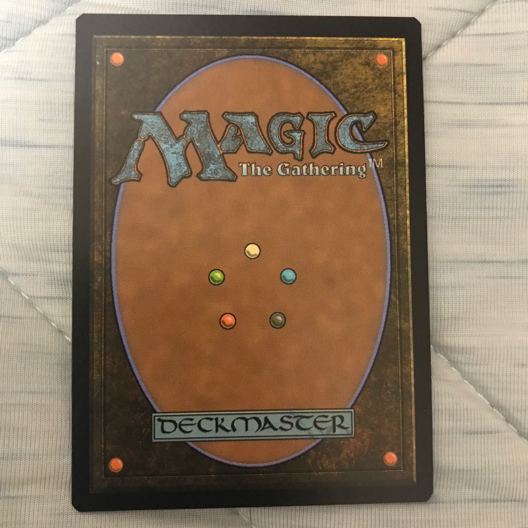 霧深い雨林　日本語　MM3