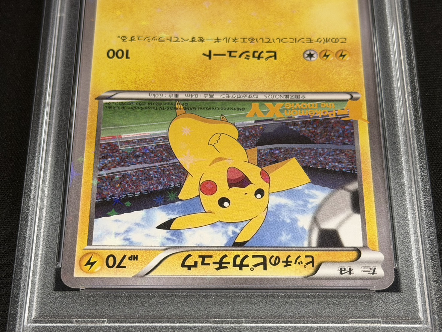 〔※状態難/PSA10鑑定済〕ピッチのピカチュウ(小学生以下)【P】{XY-P} 1枚