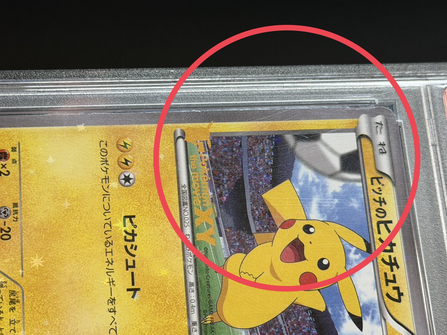 〔※状態難/PSA10鑑定済〕ピッチのピカチュウ(小学生以下)【P】{XY-P} 1枚