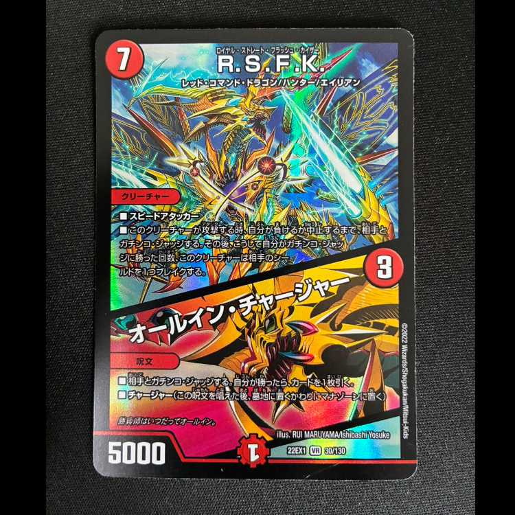 #R.S.F.K.|オールイン・チャージャー VR 30/130 1枚