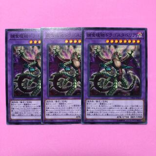 遊戯王 捕食植物ドラゴスタペリア 3枚 ノーマル