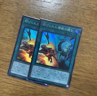 妨げられた壊獣の眠り　SR