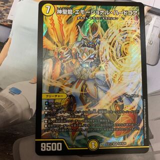 神聖龍 エモーショナル・ハードコア SR