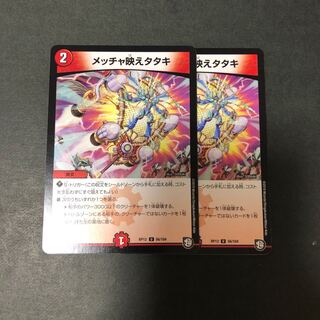 メッチャ映えタタキ　2枚