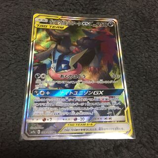 ゲッコウガ&ゾロアーク