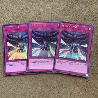 身代わりの闇　3枚