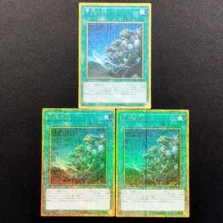 中古品 遊戯王 同胞の絆 ミレニアムゴールドレア 3枚