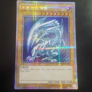 韓国版 青眼の白龍 プリズマティックシークレット