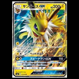 枚数調整可能 サンダースGX