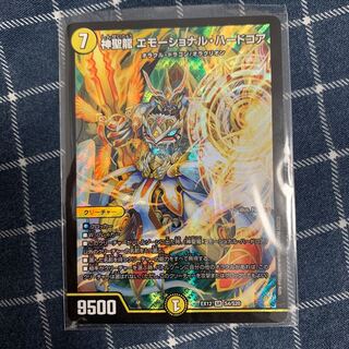 神聖龍 エモーショナル・ハードコア