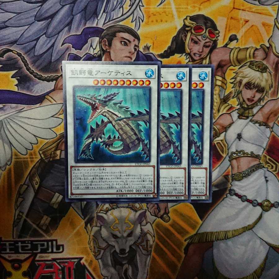 飢鰐竜アーケティス N