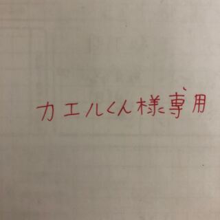 カエルくん専用