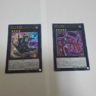 CNo.106 溶岩掌ジャイアント・ハンド・レッド  他