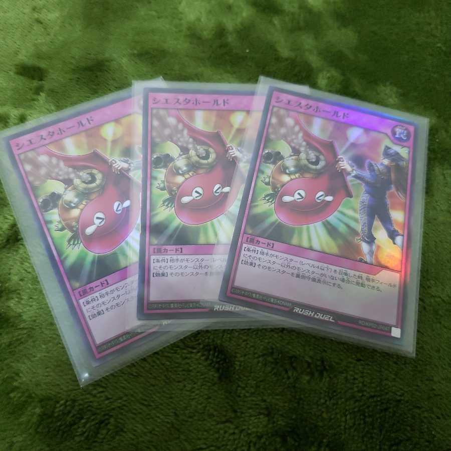 シエスタホールドSR