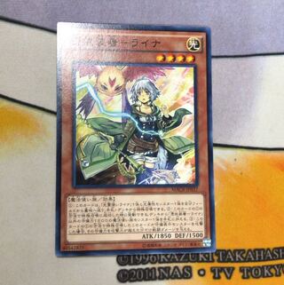 憑依装着-ライナ NR