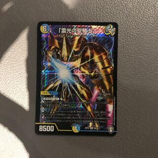 「雷光の聖騎士」