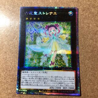 Rikka Queen Strenna PSE