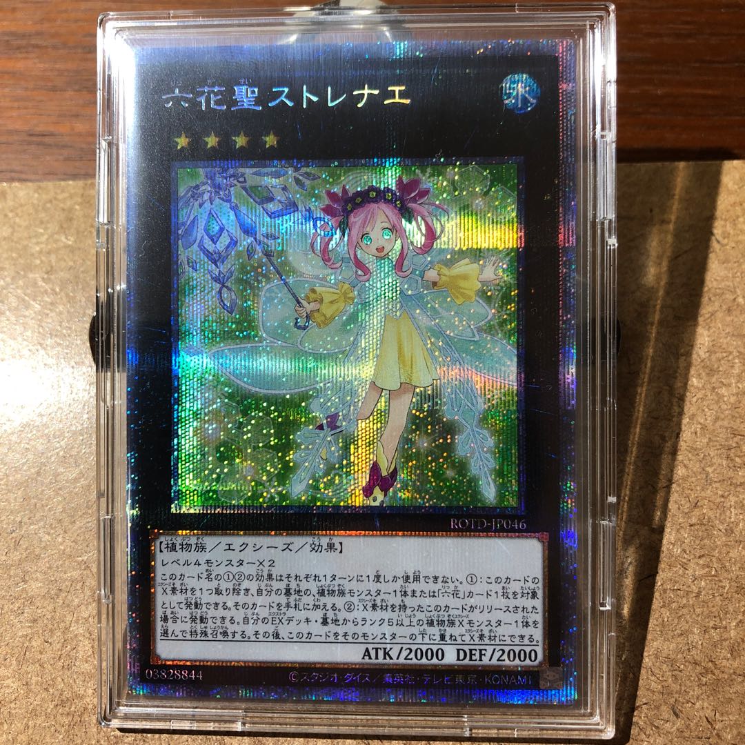 Rikka Queen Strenna PSE