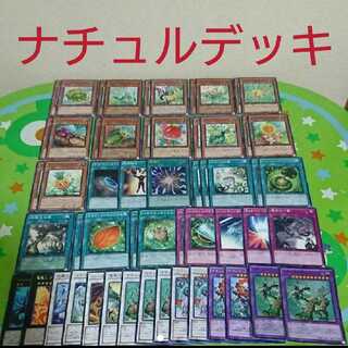 ナチュルデッキ 遊戯王