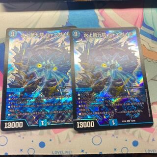 水上第九院 シャコガイル